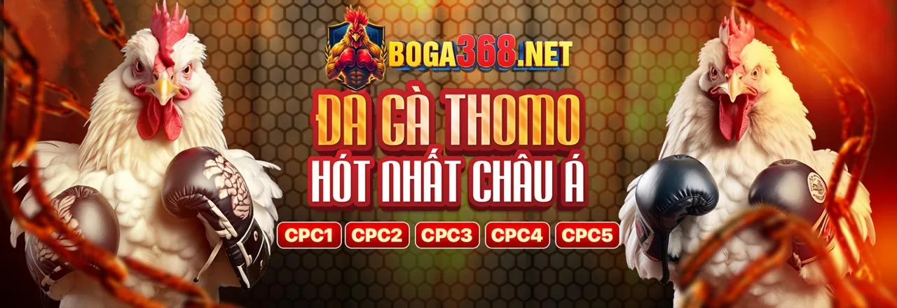 Sân đấu đá gà trực tuyến sôi động tại f1686 tải app